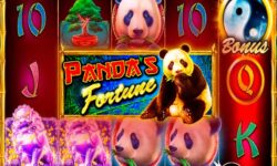 Panda’s Fortune