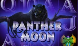 Panther Moon