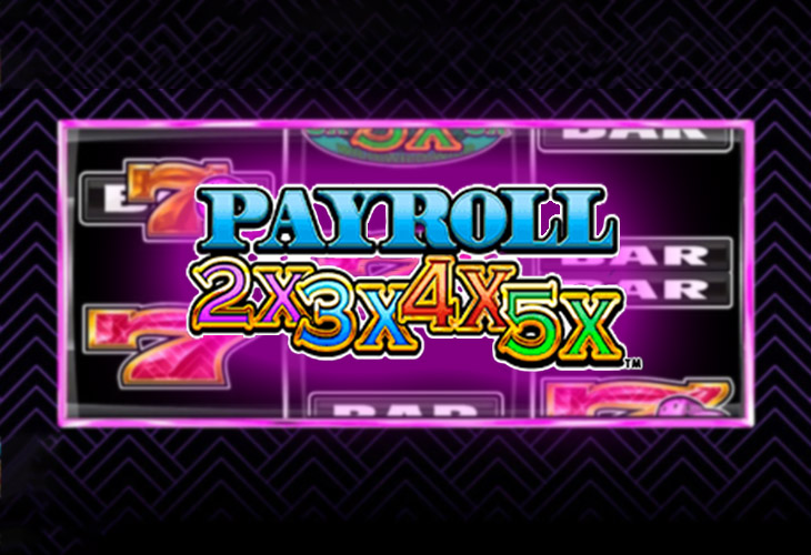 Payroll 2x3x4x5x Slot Game Screenshot
