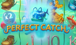 Perfect Catch