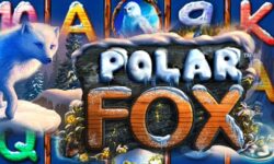 Polar Fox