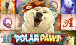 Polar Paws