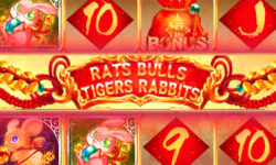 Rats Bulls Tigers Rabbits
