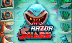 Razor Shark