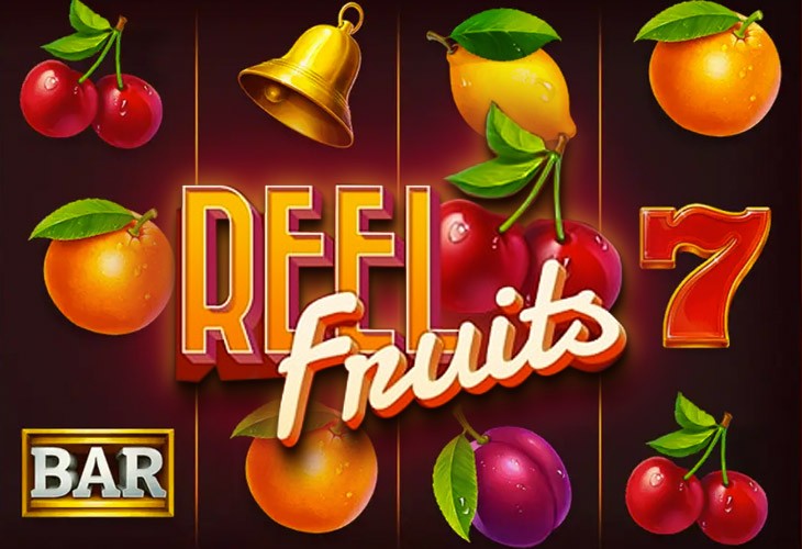Reel Fruits Slot Game Screenshot