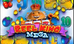 Reel King Mega