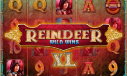 Reindeer Wild Wins XL