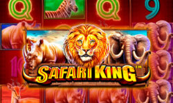 Safari King