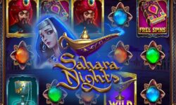 Sahara Nights