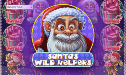 Santa Wild Helpers