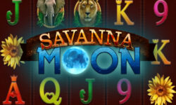 Savanna Moon