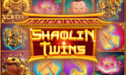 Shaolin Twins