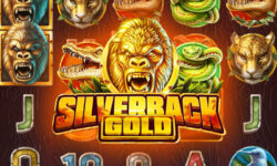 Silverback Gold