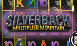 Silverback Multiplier Mountain