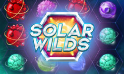 Solar Wilds
