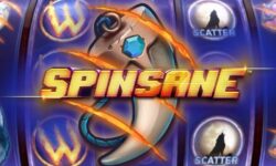 Spinsane