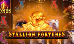 Stallion Fortunes