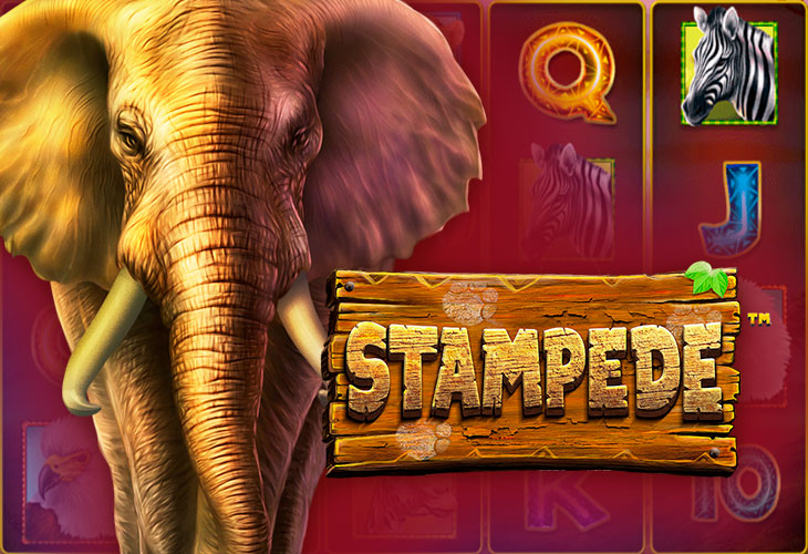 Stampede Slot Game Screenshot