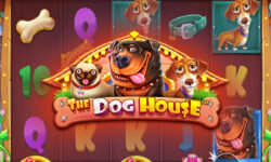 The Dog House
