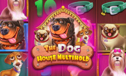 The Dog House Multihold