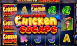 The Great Chicken Escape
