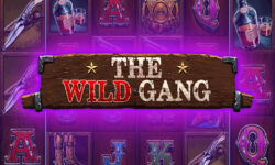 The Wild Gang