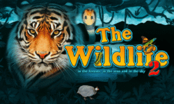 The Wildlife 2