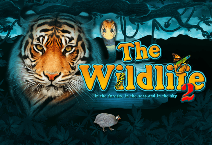 The Wildlife 2 Slot Game Screenshot