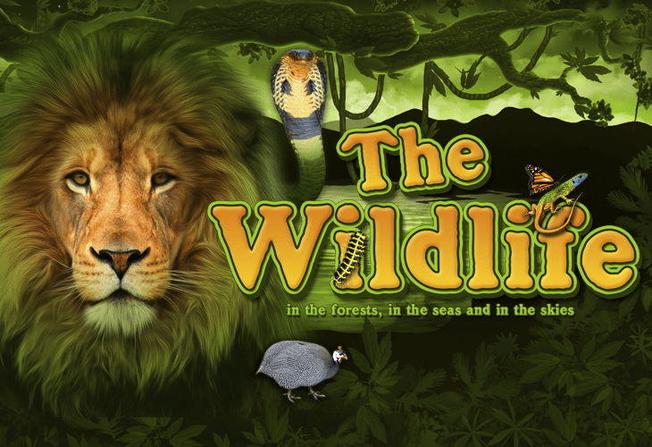 The Wildlife Slot Game Screenshot