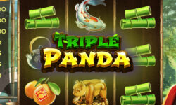 Triple Panda