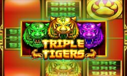 Triple Tigers