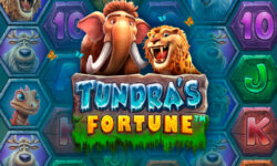Tundra’s Fortune