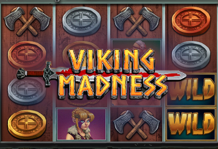 Viking Madness Slot Game Screenshot