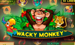 Wacky Monkey