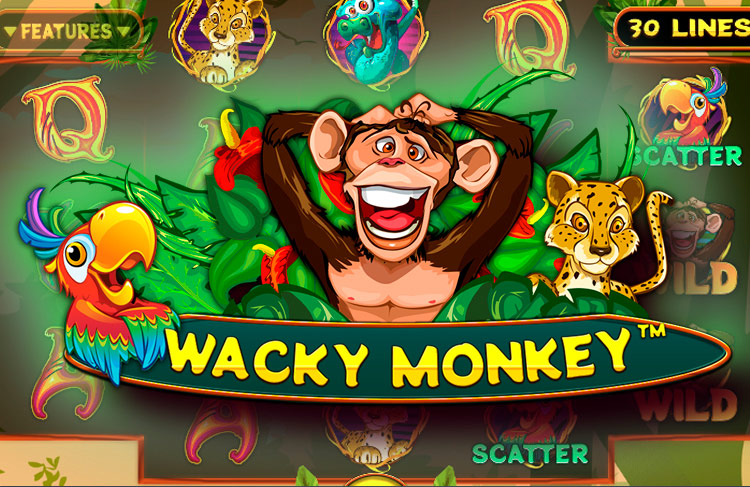 Wacky Monkey Slot Game Screenshot