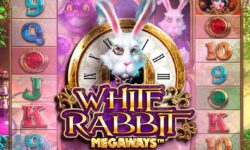 White Rabbit
