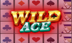 Wild Ace