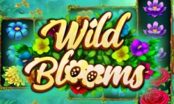 Wild Blooms