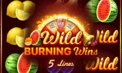 Wild Burning Wins: 5 lines