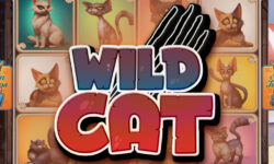 Wild Cat