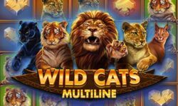 Wild Cats Multiline
