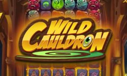 Wild Cauldron
