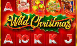 Wild Christmas