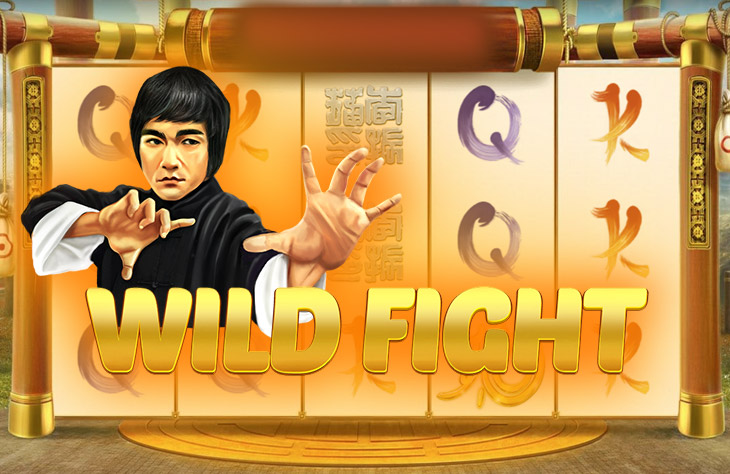 Wild Fight Slot Game Screenshot