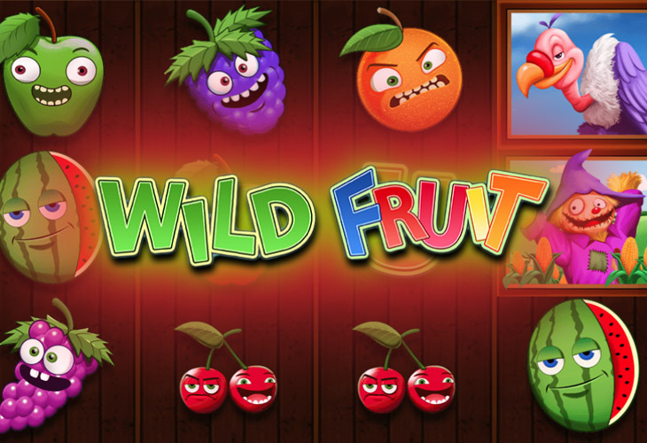 Wild Fruit Slot Game Screenshot