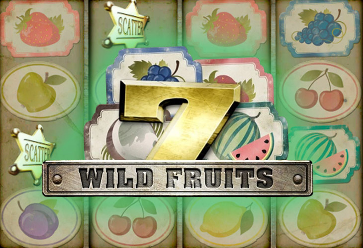 Wild Fruits Slot Game Screenshot