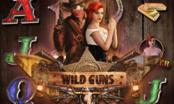 Wild Guns