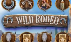 Wild Rodeo