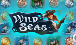 Wild Seas