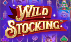 Wild Stocking